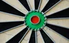 Winmau Dartboard Pro SFB Sisalfasern Turnierformat Produktbild-Vorschau 8