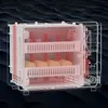 Automatische broedmachine met temperatuurregeling en Productafbeelding-voorbeeld 7