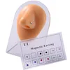 12 Stück Nasenringe mit Magnet, nicht durchbohrt, Uni, Produktbild-Vorschau 5