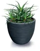 Prosperplast Pflanztopf Furu Stripes - Kunststoff - Produktbild-Vorschau 4