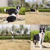 NavoX Hundeleine 20m/30m, Lange Hundetrainingsleine mit Produktbild-Vorschau 5