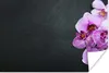 MuchoWow® Poster Orchidee - Blumen - Rosa - Flora 60x40 cm Produktbild-Vorschau 1