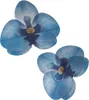 Květy z jedlého papíru orchidej modrá 10ks Náhled obrázku produktu 1