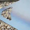 UNUS® Grillplatte Stahl 80 cm Feuerplatte 3,5 mm Plancha Produktbild-Vorschau 6