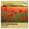 Samenliebe  Mohnblume Samen | Klatschmohn - rot - Produktbild-Vorschau 1