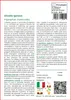 SAFLAX  - Olivello spinoso - 40 semi - Con substrato - Anteprima dell’immagine prodotto 3