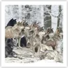 Poster - Poster ohne Rahmen - Rudel Wölfe Winter - 60x60 cm Produktbild-Vorschau 1