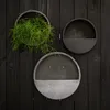 Three circular wall planters are mounted on a dark wooden plank wall. One planter contains a green plant, while the other two are empty. Produktbild-Vorschau