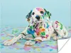 MuchoWow® Poster Hund - Farbe - Blau 80x60 cm - Kunst für Produktbild-Vorschau 1