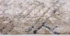 Koberec met korte pool, Mazovia - Beige, bruin, abstract Productafbeelding-voorbeeld 3
