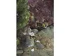 Freund Greifzange, 87 cm Produktbild-Vorschau 4
