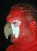 Papageienmaske zum Ankleben - Fasching Halloween Produktbild-Vorschau 3