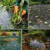 Premium Teichnetz – extra feinmaschig, perfekt als Pool Produktbild-Vorschau 8