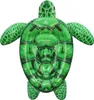 Bestway® Schwimmtier Tidal Turtle™ 153 x 140 x 38 cm Produktbild-Vorschau 11