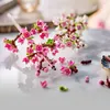 LEGO® Botanicals 40725 Kwiaty wiśni Podgląd zdjęcia produktu 11