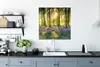 MuchoWow® Poster Frühling - Wald - Sonne 75x75 cm - Wand Produktbild-Vorschau 3