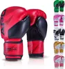 Apollo Boxhandschuh Champion-14oz - Red/Black Produktbild-Vorschau 1