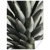 MuchoWow® Poster Ananas - Grün - Stillleben - Natur 90x120 Produktbild-Vorschau 1