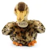 Papera Peluche 19 Cm Ecologica Anteprima dell’immagine prodotto 6