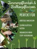 GreenPanda Brennnessel Jauche 3 Liter - Brennnessel Sud -  Produktbild-Vorschau 7