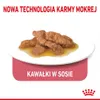 Royal Canin Indoor Sterilised W Sosie 12x85g Karma Mokra W Podgląd zdjęcia produktu 5