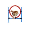 maxxpro Agility Ring - Set Agility für Hunde - 85 x 3 cm - Produktbild-Vorschau 1