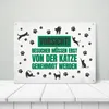 Besucher müssen erst von der Katze genehmigt werden Produktbild-Vorschau 3