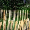 A wooden fence in a garden setting with trees and grass in the background. Produktbild-Vorschau