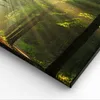 Bild auf Leinwand - Leinwandbild - Wald Baum Natur - Produktbild-Vorschau 5