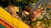 Uncharted 2 Among Thieves Remastered Produktbild-Vorschau 6