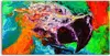 Coloray Spritzschutz aus Glas 120x60  Wandkunst Produktbild-Vorschau 1