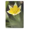 MuchoWow® Mauspad Mousepad Blume - Garten - Gelb 18x27 cm - Produktbild-Vorschau 1