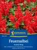 Kiepenkerl Feuersalbeisamen Scarlet King Salvia splendens Produktbild-Vorschau 1