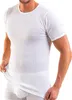 HERMKO 3842 Herren kurzarm Shirt Doppelripp aus Baumwolle, Produktbild-Vorschau 5