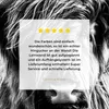 MuchoWow® - Leinwandbilder - Schottischer Highlander - Produktbild-Vorschau 8