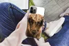 MuchoWow® Handyhülle Schutzhülle Hülle für iPhone 12 Pro Produktbild-Vorschau 3