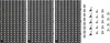 PARKSIDE® Werkzeug-Wandorganizer, inkl. Montagematerial Produktbild-Vorschau 1