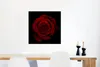 MuchoWow® Poster Rosa - Rot - Schwarz 50x50 cm - Produktbild-Vorschau 5