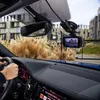Lamax MC11G4KBA, 4K Ultra HD, 3840 x 2160 px, 160°, 30 fps, Podgląd zdjęcia produktu 11