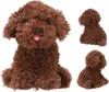 Depesche Vertrieb GmbH & Co. K TOPModel cane di peluche Anteprima dell’immagine prodotto 1