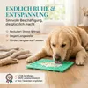 HUND IST KÖNIG Leckmatte Hund mit Saugnäpfen - 22x22 cm Produktbild-Vorschau 2