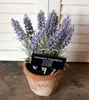 Esschert Design Kunst-Lavendel in AT Topf L; AH010 Produktbild-Vorschau 3