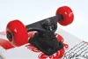 Schildkröt Skateboard Wolf 31 Zoll - Skateboard für Kinder Produktbild-Vorschau 9