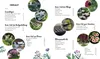Keine Zeit zu Gärtnern - Blumenparadies mit wenig Aufwand Náhľad obrázku produktu 1