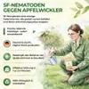 SF Nematoden gegen Apfelwickler -15 Mio.: Für 30 m² Produktbild-Vorschau 5