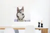 MuchoWow® Poster Sibirischer Schlittenhund im Schnee 50x50 Produktbild-Vorschau 5