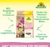 Neudorff Azet DüngeSticks für Orchideen - 40 Stück Produktbild-Vorschau 2