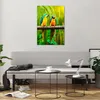 Bilder auf glas - Einteilig - Papageien Collorful Natur Produktbild-Vorschau 6