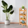 A corner shelf unit with decorative items and a plant next to it, placed against a textured wall. Podgląd zdjęcia produktu