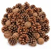 Tannenzapfen 1 kg ca. 50-70 Stk 5-6 cm Pinus nigra Produktbild-Vorschau 1